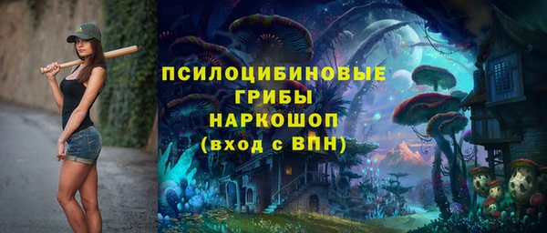 Альфа ПВП Алзамай