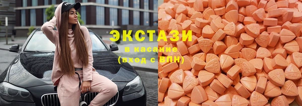 мдпв Новозыбков