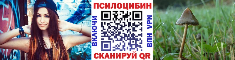 Псилоцибиновые грибы GOLDEN TEACHER  закладка  Фурманов 